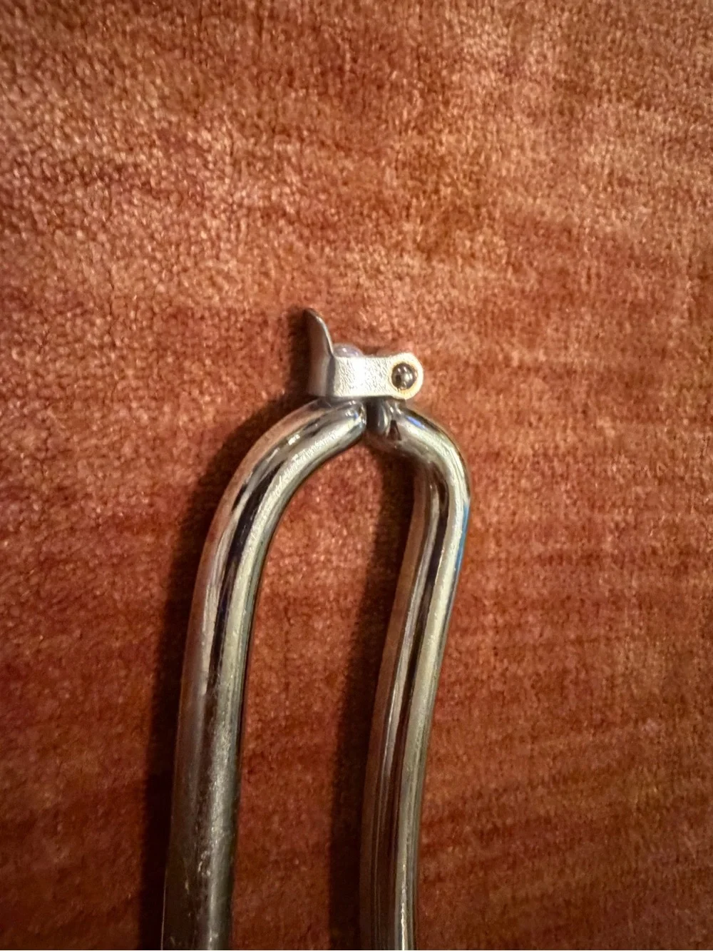 Vintage Silver Metal Poultry Shears made in Italy